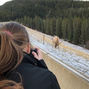 Meet your Posher, Emily